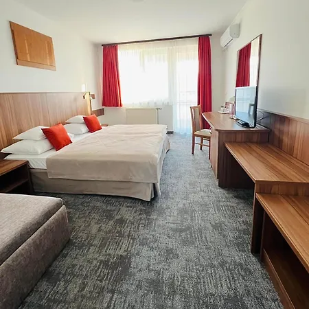 ホテル Art Superior ザラカロシュ