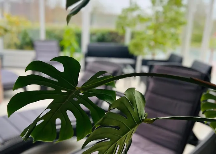 ホテル Art Superior 3*