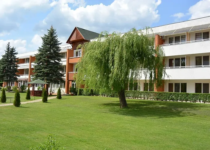 酒店 Art Superior 3*